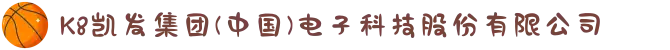 K8凯发集团(中国)电子科技股份有限公司